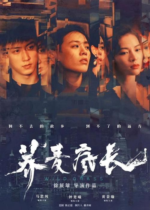 高中毕业证书号码查询